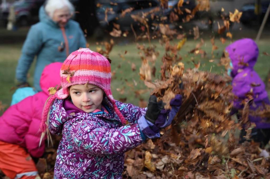 KinderReady Preschool student Isla Taintor throws leaves in the air on a cold Tuesday morning. She and her KinderReady Preschool class from Harborview Elementary joined in on the fun at the annual student leaf jump event organized by retired teacher Linda Torgerson. (Clarise Larson / Juneau Empire)