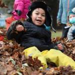 Aiden Lott smiles as he is engulfed in leaves Tuesday morning at the Evergreen Cemetery. The leaf pile is an annual event organized by Linda Torgerson and has been happening in Juneau for around 25 years. (Clarise Larson / Juneau Empire)