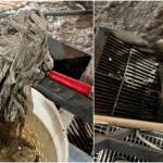 This composite image shows mopheads recently flushed down toilets in Juneau that are creating problems at the  Auke Bay wastewater treatment facility. (Courtesy Photos / City and Borough of Juneau)