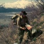 George Argus collects samples of willow shrubs on a slope near the town of McCarthy, Alaska in 1955. (Courtesy Photo / Neil Davis)