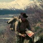George Argus collects samples of willow shrubs on a slope near the town of McCarthy, Alaska in 1955. (Courtesy Photo / Neil Davis)