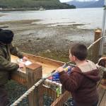 Jonah Hurst learns how to clean salmon. Wrangell, Alaska. (Courtesy Photo / Vivian Faith Prescott)