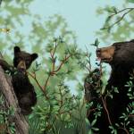 An illustration from Author Sarah Asper-Smith and illustrator Mitchell Watleys childrens picture book, I Would Teach You to Fly depicts two bears. The married couples latest collaboration is just one of many attractions to be featured at Juneaus Gallery Walk 2022 on Friday, Dec. 2. (Courtesy Photo / Sarah Asper-Smith)