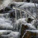 Branching out icicles from major ice flow, Auke Recreation Area. (Courtesy Photo / Kenneth Gill, gillfoto)