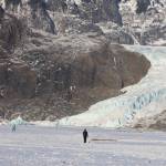 People and dogs traverse the frozen surface Mendenhall Lake on Monday afternoon. Officials said going on to any part of Mendenhall Lake can open up serious risks for falling into the freezing waters. (Clarise Larson / Juneau Empire)
