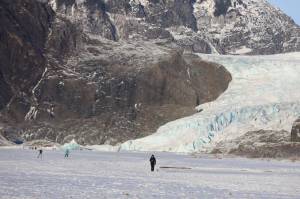 People and dogs traverse the frozen surface Mendenhall Lake on Monday afternoon. Officials said going on to any part of Mendenhall Lake can open up serious risks for falling into the freezing waters. (Clarise Larson / Juneau Empire)