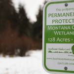 Rain drizzles on a sign Wednesday morning at a trailhead leading into the Montana Creek Wetlands area. A public meeting was held Wednesday evening presenting a revised Montana Creek draft master plan. (Clarise Larson / Juneau Empire)