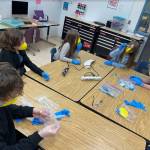 Students at STEM class at Randy Smith Middle School in Fairbanks having hands on education as part of UAFs Mammoth in the Classroom project. (Courtesy Photo / Matthew Wooller)