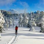Aaron Prussian, a natural resource specialist for the Sitka Ranger District, goes skiing in Tongass National Forest. Alaska Gov. Mike Dunleavy is proposing to leave large portions of the states forests intact from timber harvesting and other industrial activity in exchange for carbon credits to help balance the states budget. Such restrictions would not make forests off-limits to recreational use. (Will Sirokman / U.S. Forest Service)