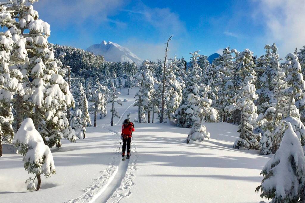 Aaron Prussian, a natural resource specialist for the Sitka Ranger District, goes skiing in Tongass National Forest. Alaska Gov. Mike Dunleavy is proposing to leave large portions of the states forests intact from timber harvesting and other industrial activity in exchange for carbon credits to help balance the states budget. Such restrictions would not make forests off-limits to recreational use. (Will Sirokman / U.S. Forest Service)