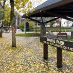 The City and Borough of Juneau is conducting a short online survey about what the community wants to see from Marine Park ahead of renovations. (Courtesy Photo / CBJ)