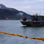 Clarise Larson / Juneau Empire 
On Thursday morning CBJ Docks and Harbors staff place booms in the water surrounding a 107-foot tugboat that sank during the night.