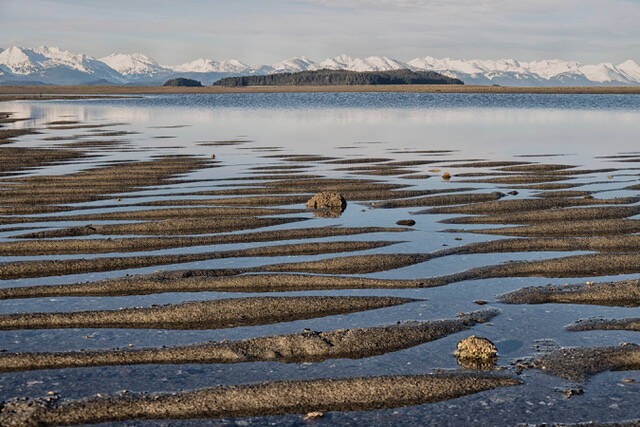 This photo shows the Chilkat Range looming behind Eagle Beach sand ripples. (Courtesy Photo / Kenneth Gill)