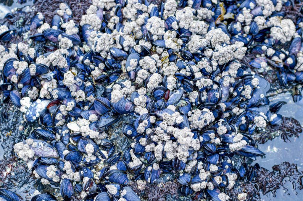 This photo was taken along Rainforest Trail. (Courtesy Photo / Felina Villarreal)