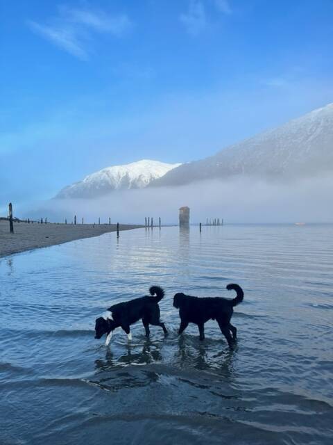 A lovely mourning to play in the water at Sandy Beach. (Courtesy Photo / Bill Andrews)