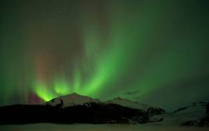 The Aurora Borealis glows over the Mendenhall Glacier in 2014. (Michael Penn / Juneau Empire File)