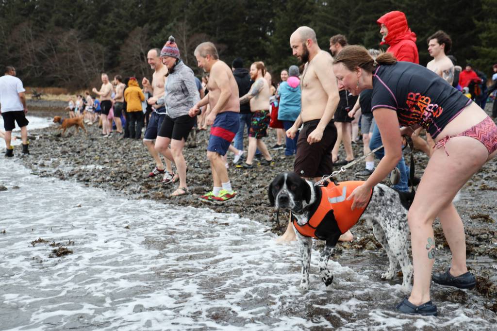 A dog prepares for the annual Polar Dip at the Auke Recreation Area Sunday afternoon with its owner. (Clarise Larson / Juneau Empire)