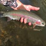 The new year holds promise like new stretches of the same river. (Jeff Lund / For the Juneau Empire)