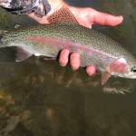 The new year holds promise like new stretches of the same river.  (Jeff Lund / For the Juneau Empire)