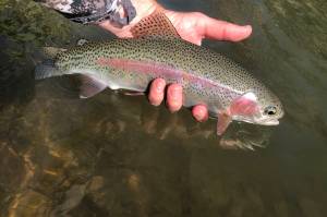 The new year holds promise like new stretches of the same river.  (Jeff Lund / For the Juneau Empire)