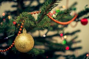 The City and Borough of Juneau will host its annual holiday tree recycling program Friday or Saturday, Jan. 20-21, from 10am - 4p.m. (Courtesy Photo / City and Borough of Juneau)