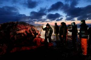 Fredrick Brower, center, helps cut up a bowhead whale caught by Inupiat subsistence hunters on a field near Barrow, Alaska, Oc. 7, 2014. After tidal surges and high winds from the remnants of a rare typhoon caused extensive flood damage to homes along Alaska's western coast in September, the U.S. government stepped in to help residents largely Alaska Natives repair property damage. Residents who opened Federal Emergency Management Agency brochures expecting to find instructions on how to file for aid in Alaska Native languages like Yup'ik or Inupiaq instead were reading nonsensical phrases. (AP Photo / Gregory Bull)