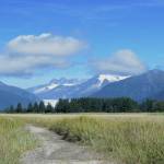 (Courtesy Photo / Gwen Baluss)