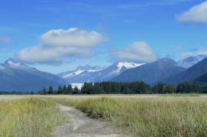 (Courtesy Photo / Gwen Baluss)