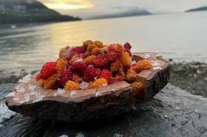 This photo shows frozen salmonberries for use all winter. (Courtesy Photo / Vivian Faith Prescott)