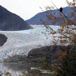 A bald eagle looks toward the Mendenhall Glacier near the visitor center. (Jonson Kuhn / Juneau Empire File)