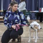 CC, 1, with owner Miranda Guizio attend Saturdays No Bad Dog Class at the Juneau Arts and Culture Center to help with CCs anxiety around other people and dogs. (Jonson Kuhn / Juneau Empire)