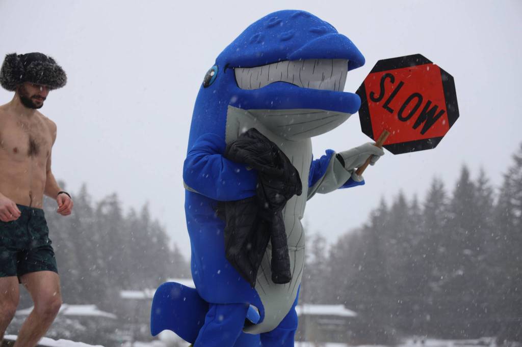 University of Alaska Southeasts mascot, Spike, leads students and residents to jump into the waters of Auke Bay on Saturday afternoon for the 25th UAS Polar Plunge. (Clarise Larson / Juneau Empire)