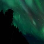 This photo shows the aurora borealis from the North Douglas Boat Launch on Feb. 20. (Courtesy Photo / Michael Wilmot)