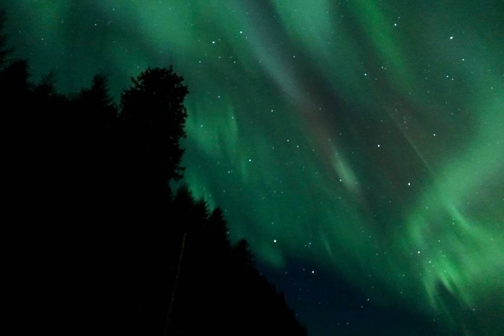 This photo shows the aurora borealis from the North Douglas Boat Launch on Feb. 20. (Courtesy Photo / Michael Wilmot)