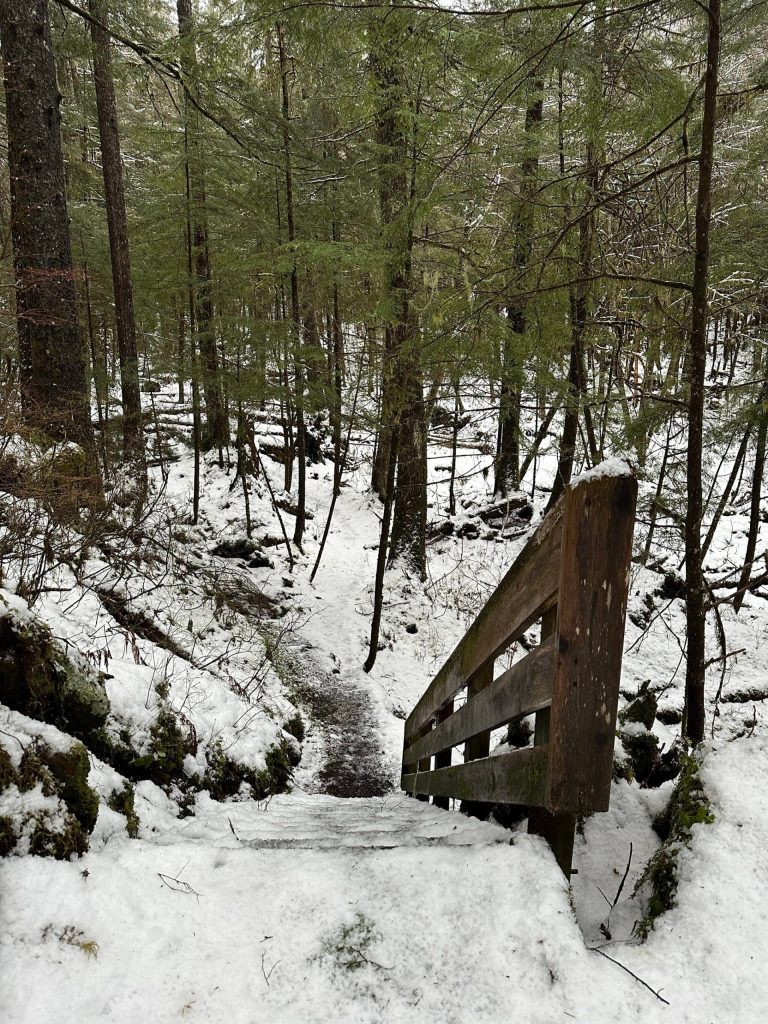 This photo was taken along the Dzantiki Heeni Trail. (Courtesy Photo / Deana Barajas)