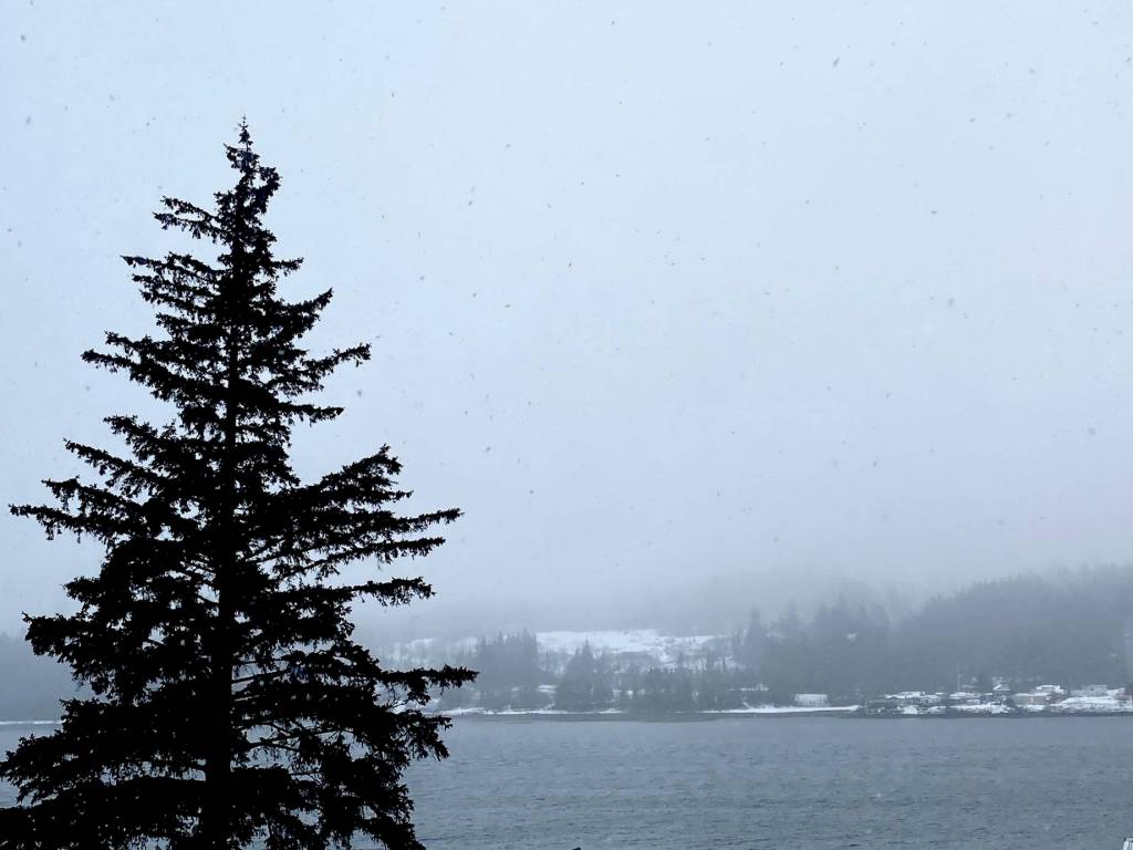 Douglas Island seen from the mainland. (Courtesy Photo / Denise Carroll)