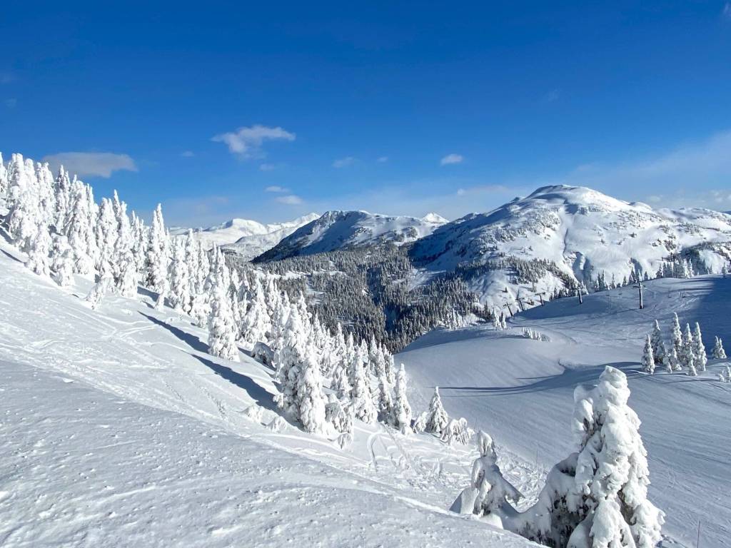 Looking back down from the top of a ski run at Eaglecrest on Feb. 22. (Courtesy Photo / Denise Carroll)