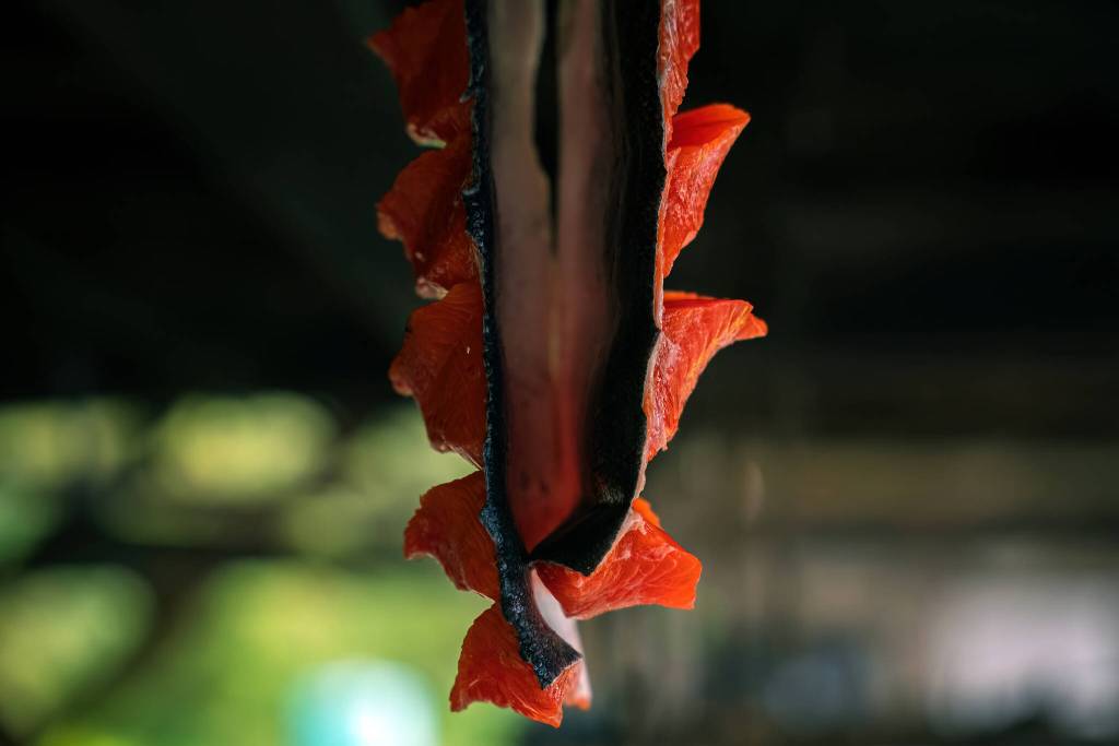 Subsistence-caught salmon dries at a fish camp near Sitka. (Lee House / Sitka Conservation Society)
