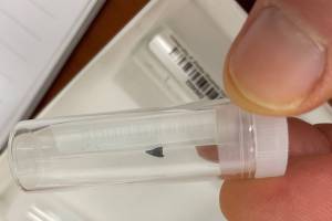 Courtesy Photo / Ned Rozell 
A tiny bird tooth  73 million years old  found in bluffs of the Colville River. Lauren Keller carried this sample to her presentation at the University of Alaska Fairbanks.