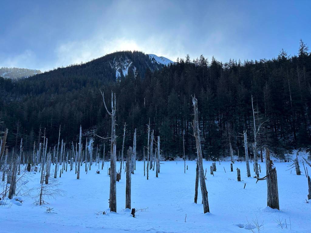 This photo was taken along the Salmon Creek Dam Trail. (Courtesy Photo / Deana Barajas)