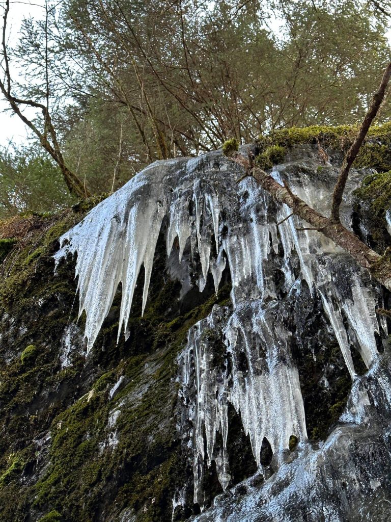 This photo was taken along the East Glacier Trail. (Courtesy Photo / Deana Barajas)