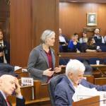 Rep. Rebecca Himschoot, I-Sitka, offers an overview Wednesday of Southeast Alaska’s commercial troll fisheries while asking for support on a resolution opposing a lawsuit by a Washington-based group that would shut the fisheries down due to their alleged impacts on species in that state. The resolution passed by a 35-1 vote. (Mark Sabbatini / Juneau Empire)