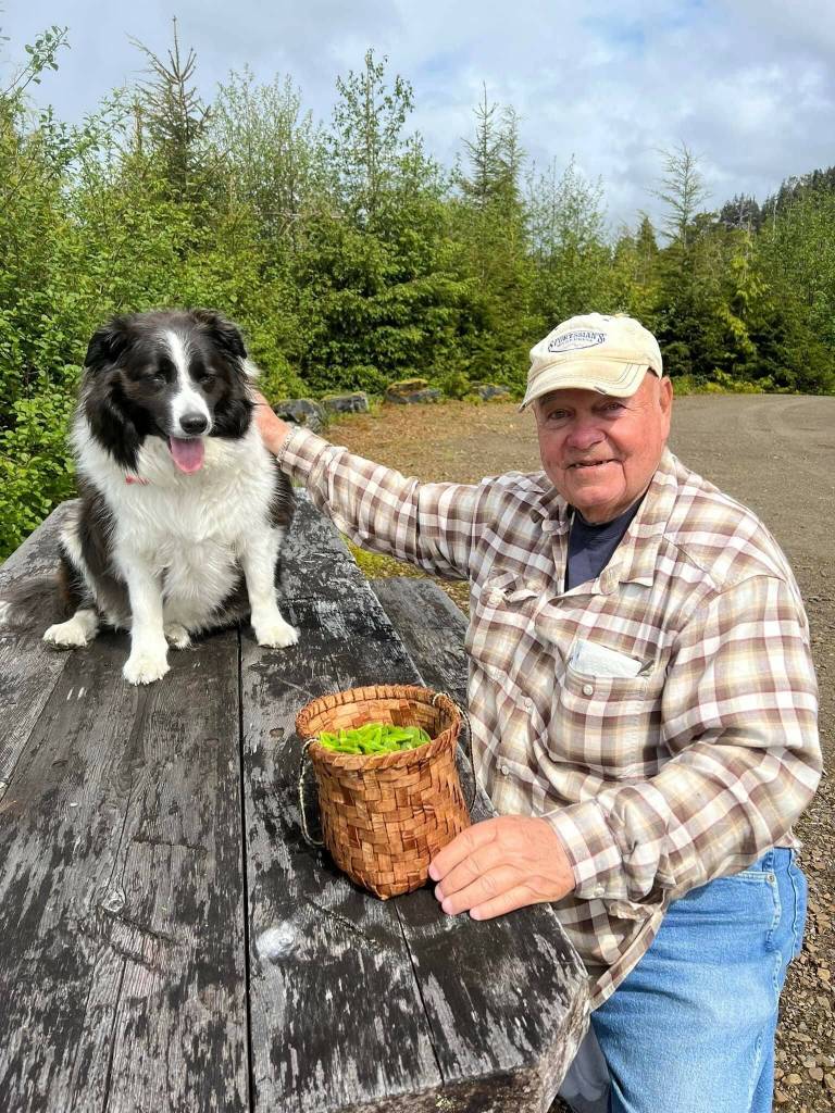 Vivian Faith Prescott / For the Capital City Weekly 
Mickey Prescott picking spruce tips with Kéet in Wrangell.