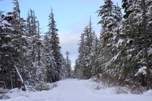 (Clarise Larson / Juneau Empire File)