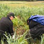 Guy Archibald collects clam shell specimens on Admiralty Island. Archibald was the lead author of a recently released study that linked a dramatic increase of lead levels in Hawk Inlets marine ecosystem and land surrounding it on Admiralty Island to tailings released from the nearby Hecla Greens Creek Mine. (Courtesy Photo / John Neary)