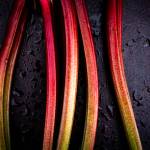 Southeast Alaskans import the vast majority of their produce–which is typically costly and low quality by the time it reaches our rural towns. The farmers and growers who participated at this years Farmers Summit represent a growing community of Alaskans hoping to change that. (Courtesy Photo / Bethany Goodrich)