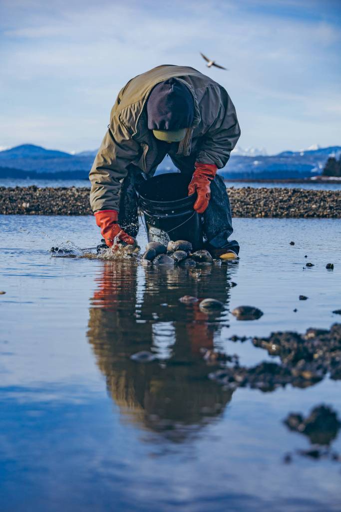 The community of Ḵéex̱ʼ looks to the land and sea for year round sustenance. Harvesting wild foods has connected people to the seasons for thousands of years. (Courtesy Photo / Muriel Reid)