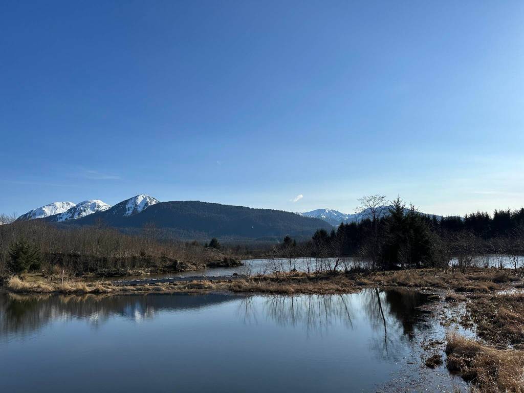 This photo was taken along King Fisher Pond Trail. (Courtesy Photo / Deana Barajas)