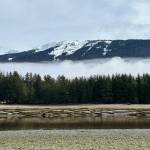 This photo was taken along the Point Bridget Trail. (Courtesy Photo / Deana Barajas)