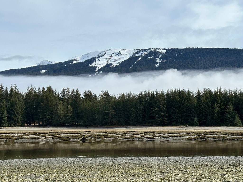 This photo was taken along the Point Bridget Trail. (Courtesy Photo / Deana Barajas)
